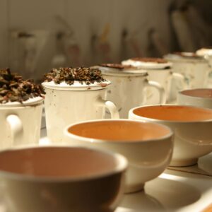 Aufbau Modul 1 - START SEPTEMBER - Fortgeschrittenes Degustieren